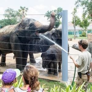 Meet your Posher, Aaron